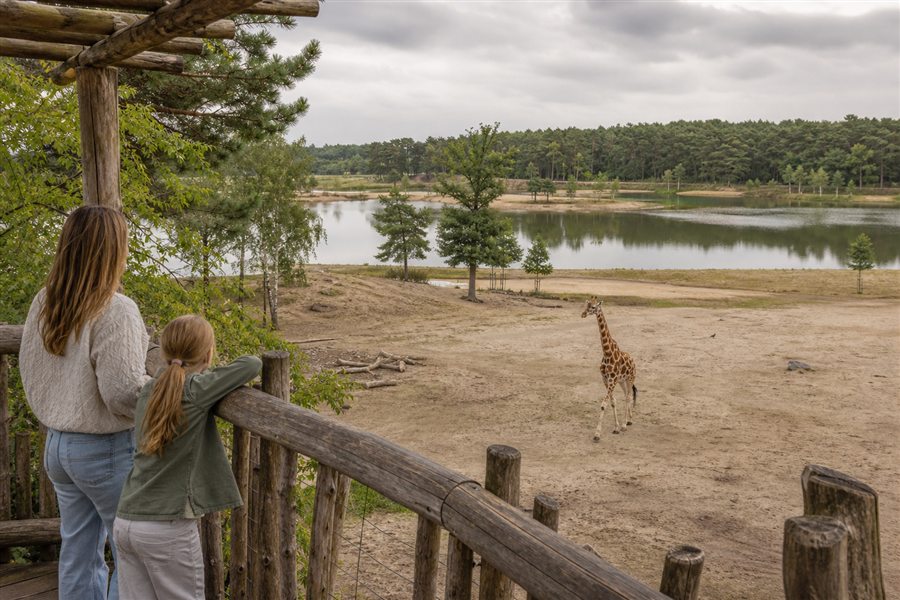 Viewing point overlooking the giraffe habitat