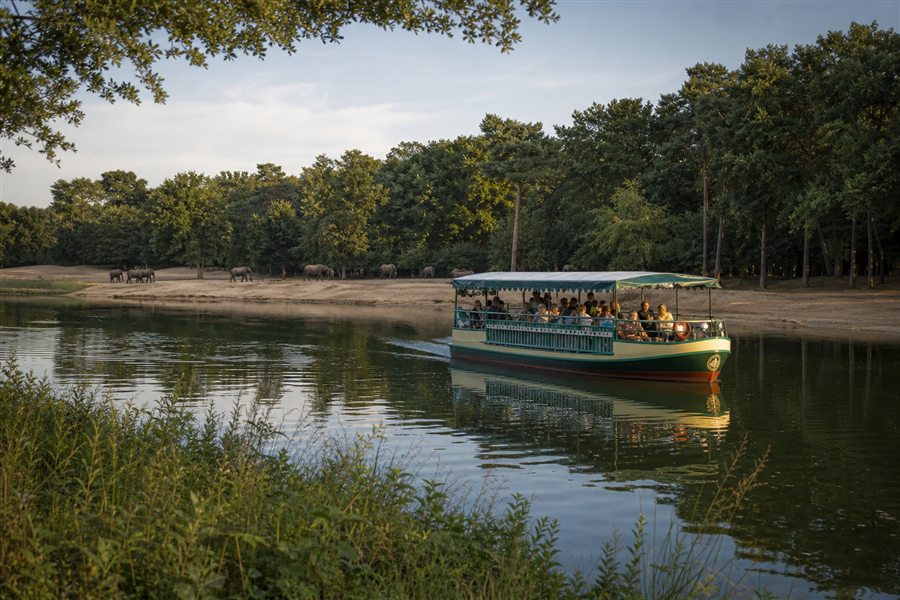 Boat safari on the lake